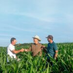 Valor representa aumento de 10% em relação ao crédito concedido na última safra