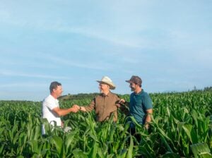 Valor representa aumento de 10% em relação ao crédito concedido na última safra