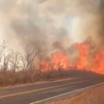 Passageiros correram para escapar do calor; Corpo de Bombeiros atua no combate a três focos ativos de incêndio na região do Lago do Manso