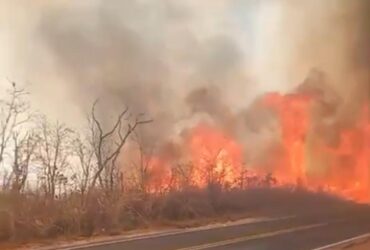 Passageiros correram para escapar do calor; Corpo de Bombeiros atua no combate a três focos ativos de incêndio na região do Lago do Manso