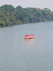 Motorista foi socorrido e encaminhado para atendimento médico; causas do acidente ainda estão sendo apuradas