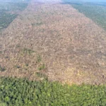 MMA e Inpe lançam sistema para monitoramento diário da Amazônia