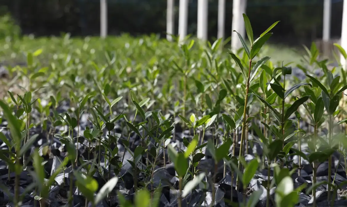 UFRJ promove debate sobre Re-Amazonizar no Festival do Conhecimento 2025