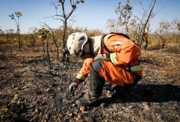 Em 10 dias de operação, equipes aplicam R$ 78 milhões em multas por crimes ambientais no Norte de MT