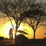 Baixa umidade do ar coloca três estados e o DF em alerta vermelho