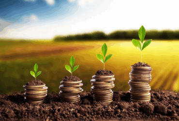 Desembolso rural do primeiro bimestre do Plano Safra 2025/2026