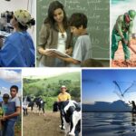 Desemprego no Brasil é o menor em 13 anos; ocupação e renda têm novo recorde em agosto - Arte EBC