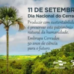 Dia do Cerrado: os serviços ecossistêmicos e seus benefícios para a sociedade e a economia