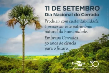 Dia do Cerrado: os serviços ecossistêmicos e seus benefícios para a sociedade e a economia
