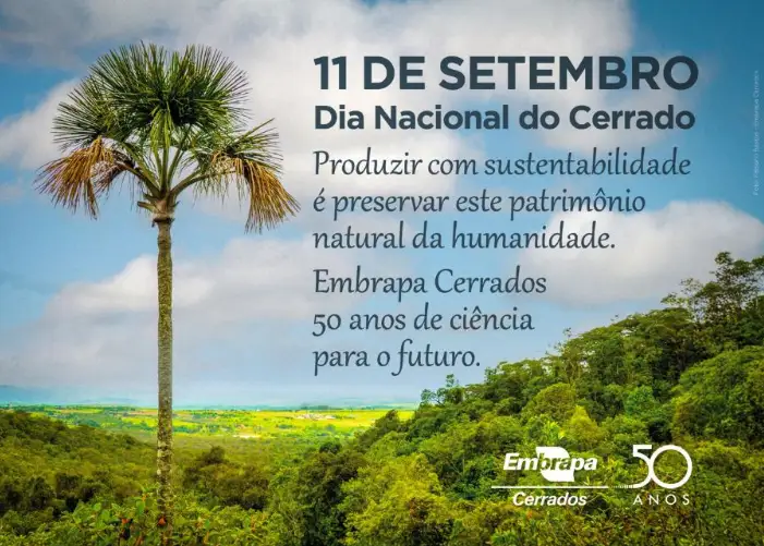 Dia do Cerrado: os serviços ecossistêmicos e seus benefícios para a sociedade e a economia