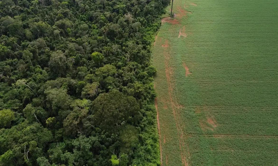 Estados e DF devem padronizar autorização de vegetação conforme regras do Ibama