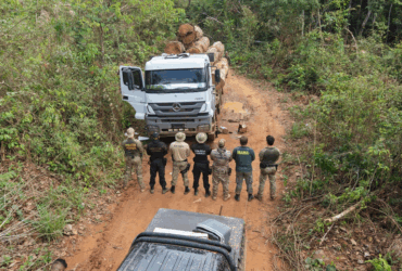 Federal e Ibama desmontam grupo de extração ilegal de madeira em terra indígena - Divulgação