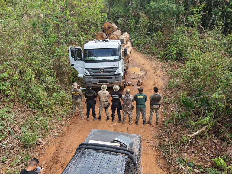 Federal e Ibama desmontam grupo de extração ilegal de madeira em terra indígena - Divulgação