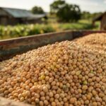 IGP-DI avança 0,20% em agosto