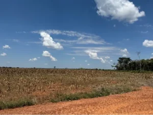 Protocolo cria indicadores para medir agricultura regenerativa e reduzir emissões de carbono