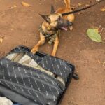 Operação Ágata Fronteira Sul resulta em R$ 13 milhões em apreensões - Divulgação/Exército Brasileiro