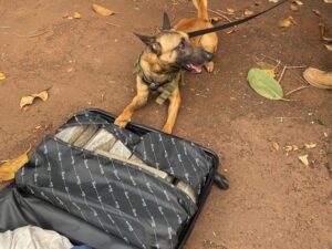 Operação Ágata Fronteira Sul resulta em R$ 13 milhões em apreensões - Divulgação/Exército Brasileiro