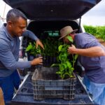 Prefeitura entrega mais de 880 mudas cultivadas no Horto Municipal