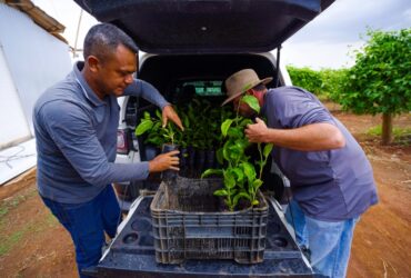 Prefeitura entrega mais de 880 mudas cultivadas no Horto Municipal