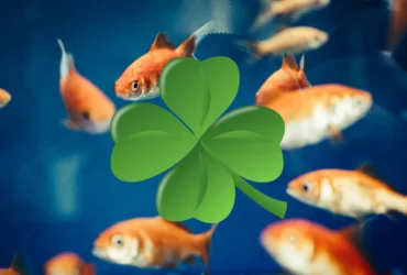 signo de peixes sorte