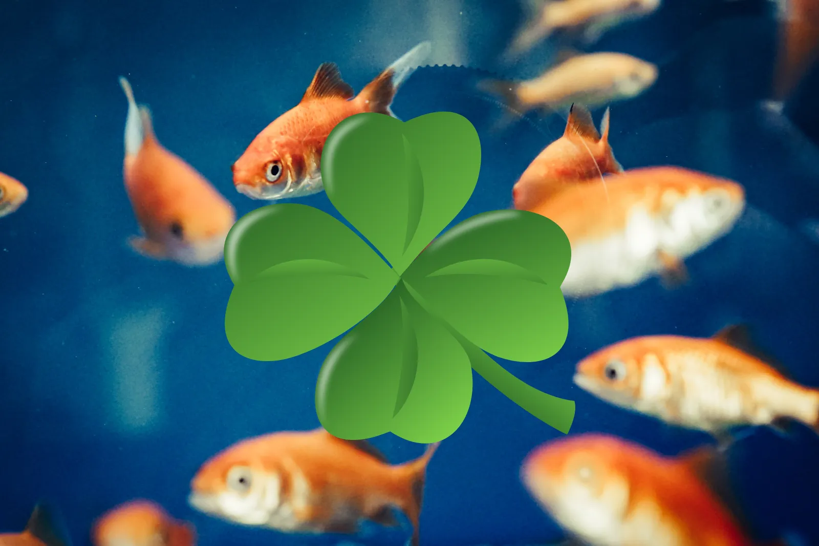 signo de peixes sorte