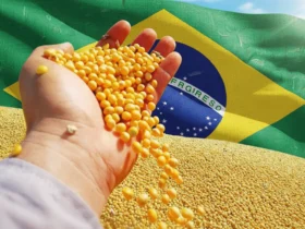 soja brasil - CenárioMT