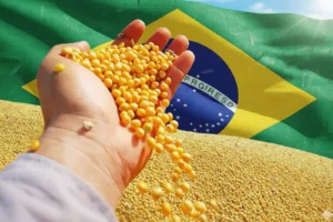 soja brasil - CenárioMT