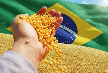 soja brasil - CenárioMT