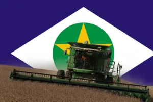soja em mato grosso