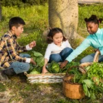 turismo sustentável