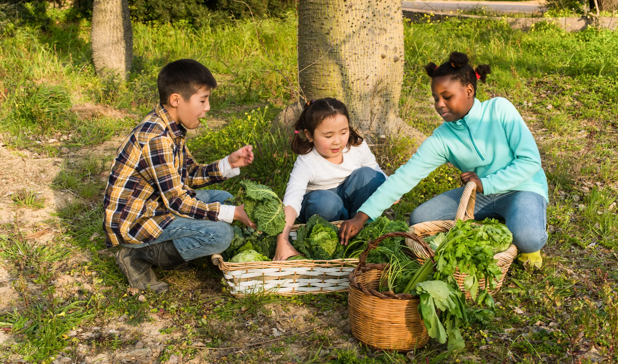 turismo sustentável