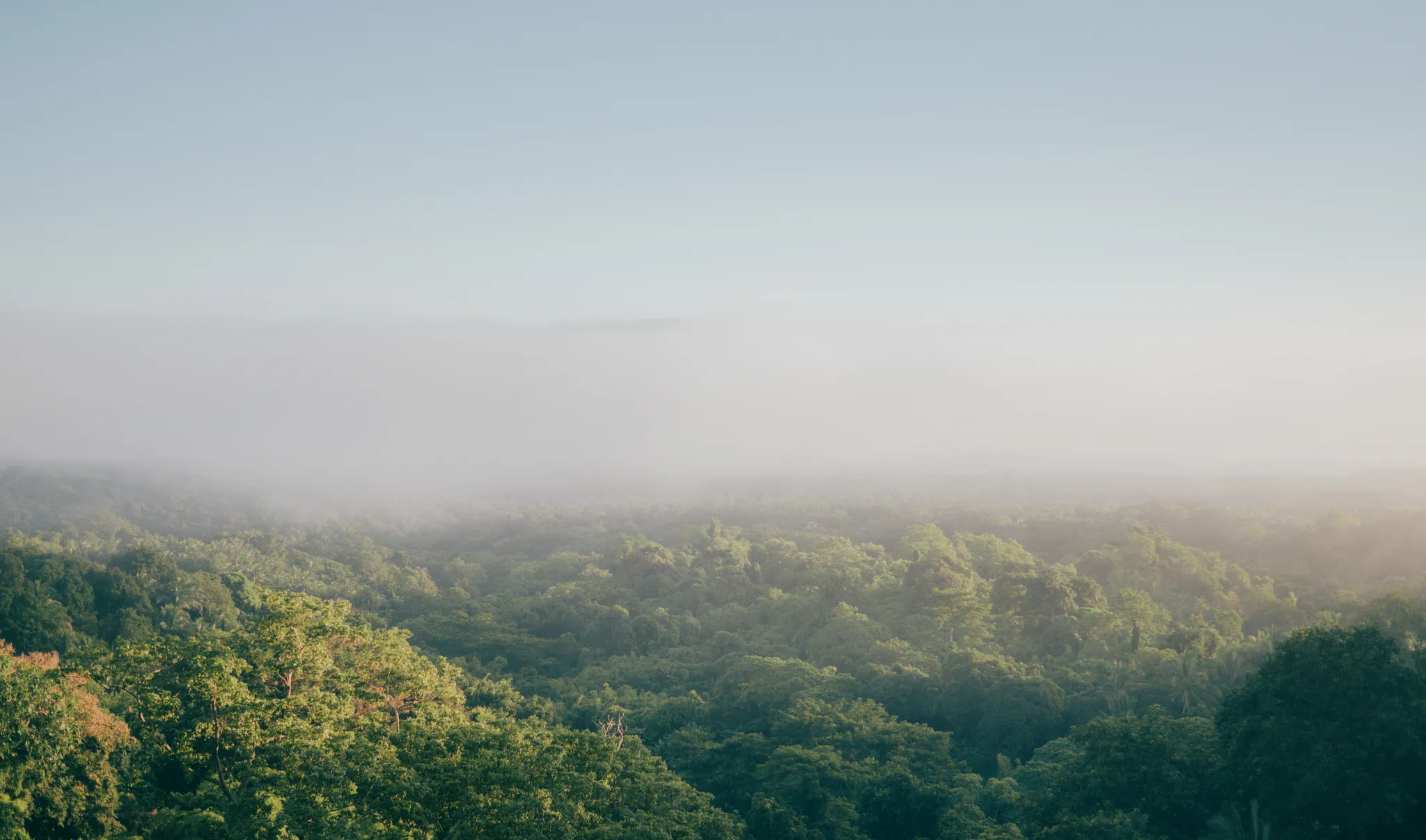 turismo sustentável 