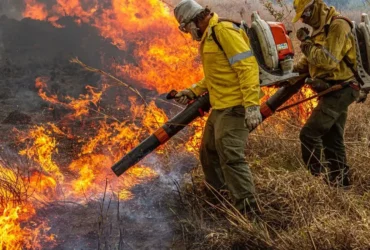 Chuva ajuda a controlar incêndios na Chapada dos Veadeiros