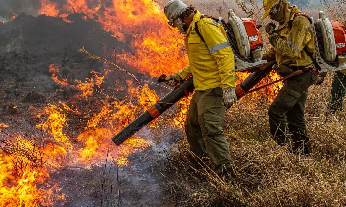 Chuva ajuda a controlar incêndios na Chapada dos Veadeiros