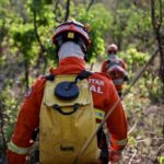 Bombeiros de Barra do Garças contêm incêndio criminoso próximo ao Parque Serra Azul
