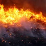 Incêndio mobiliza brigadistas em Cavalcante, Goiás