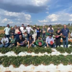 21f434b3-f1ae-4733-9a75-5ce0c51a5c63