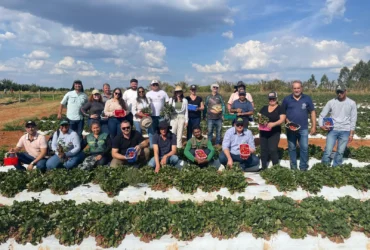 21f434b3-f1ae-4733-9a75-5ce0c51a5c63