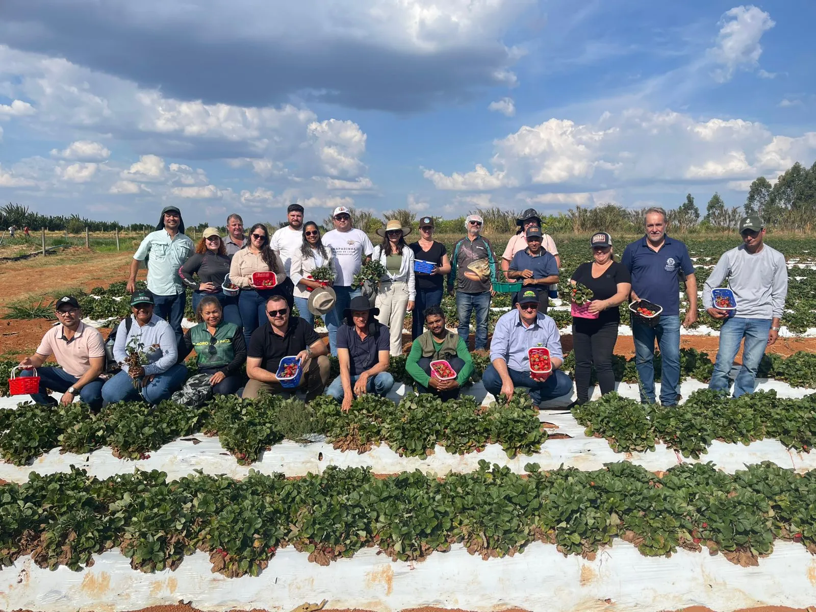 21f434b3-f1ae-4733-9a75-5ce0c51a5c63