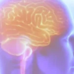 Avc mata uma pessoa a cada seis minutos no Brasil, revela estudo