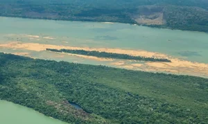Desmatamento volta a pressionar Terra Indígena Munduruku no Pará