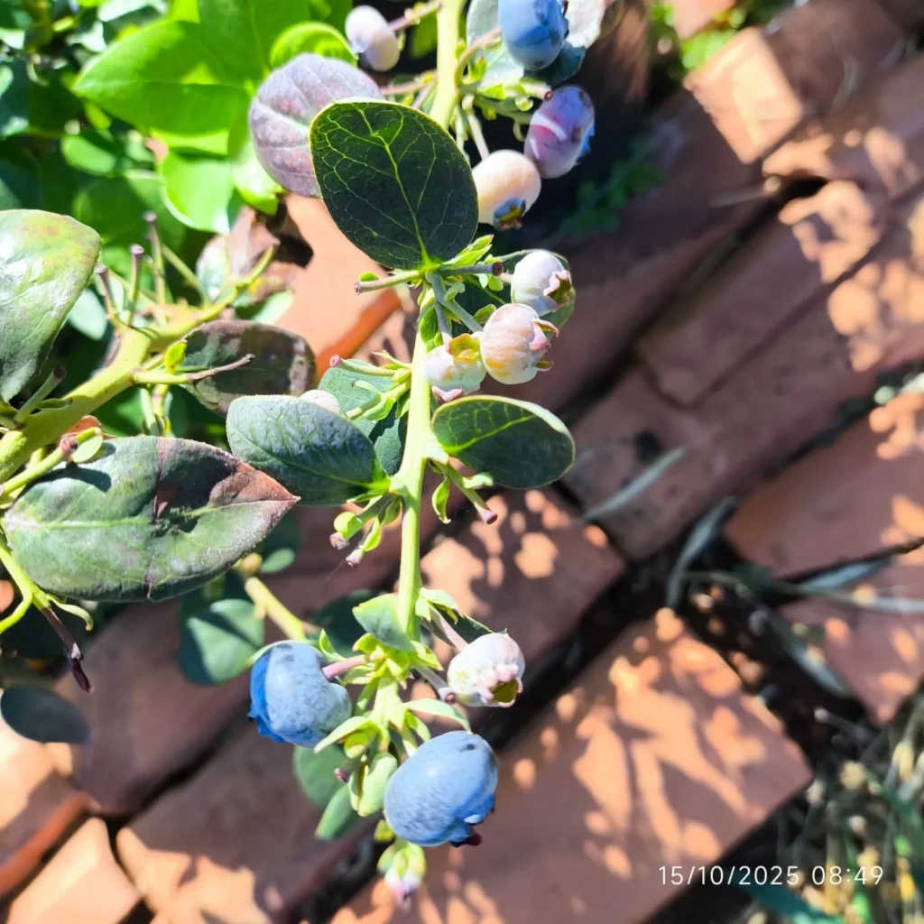 43708b5c-56f2-4d64-99e1-a01a91c5d4ce