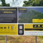 Trilha Amazônia Atlântida será a maior da América Latina na COP30