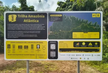 Trilha Amazônia Atlântida será a maior da América Latina na COP30