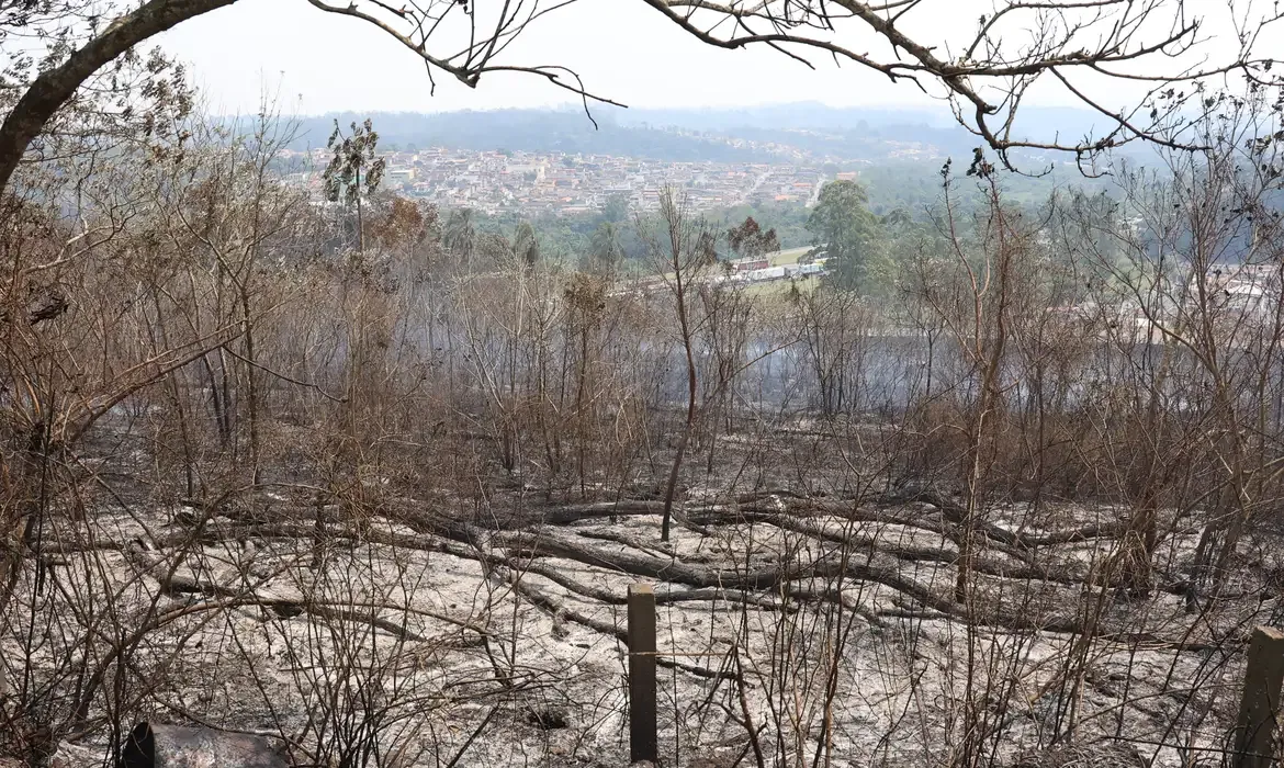 Financiamento climático no Brasil aprofunda desigualdades, aponta estudo da Oxfam