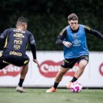 Santos x Vitória ao vivo: onde assistir, escalações e tudo sobre o duelo decisivo na Vila Belmiro. Imagem: Raul Baretta/Santos FC