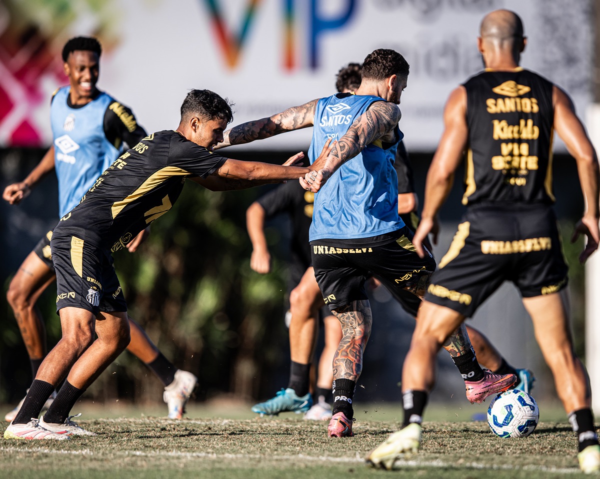 Botafogo x Santos: onde assistir, escalações e tudo sobre o duelo pelo Brasileirão 2025. Imagem: Raul Baretta/Santos FC Botafogo x Santos: onde assistir, escalações e tudo sobre o duelo pelo Brasileirão 2025. Imagem: Raul Baretta/Santos FC