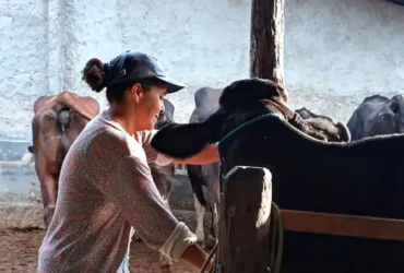 Mulheres rurais enfrentam desafios e informalidade no campo