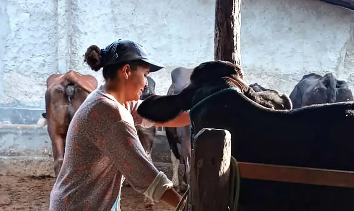 Mulheres rurais enfrentam desafios e informalidade no campo