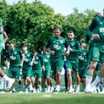 Goiás x Chapecoense: onde assistir, escalações e tudo sobre o confronto direto pelo G4 da Série B. Imagem: Divulgação Goiás